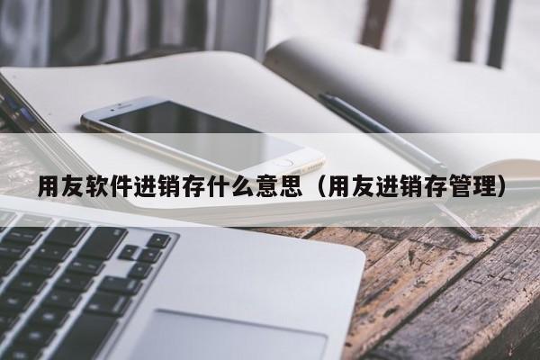 用友软件进销存什么意思（用友进销存管理）