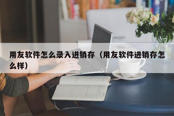 用友软件怎么录入进销存（用友软件进销存怎么样）