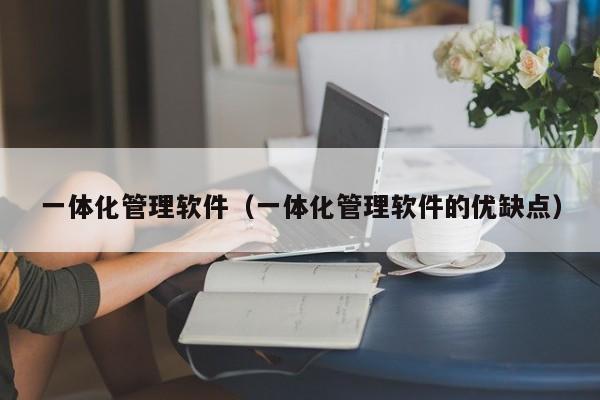 一体化管理软件（一体化管理软件的优缺点）