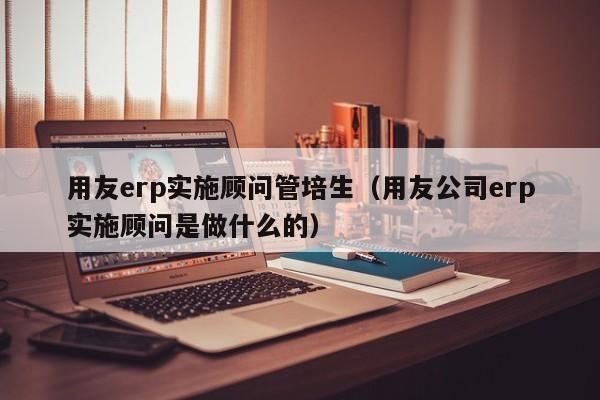 用友erp实施顾问管培生（用友公司erp实施顾问是做什么的）