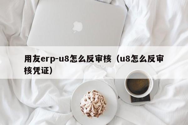 用友erp-u8怎么反审核（u8怎么反审核凭证）