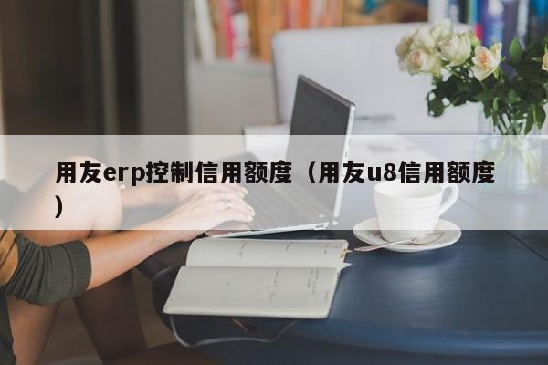 用友erp控制信用额度（用友u8信用额度）