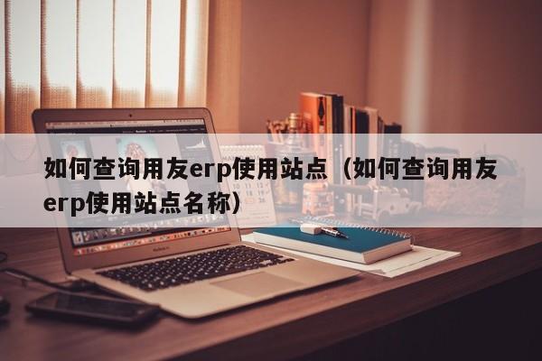 如何查询用友erp使用站点（如何查询用友erp使用站点名称）