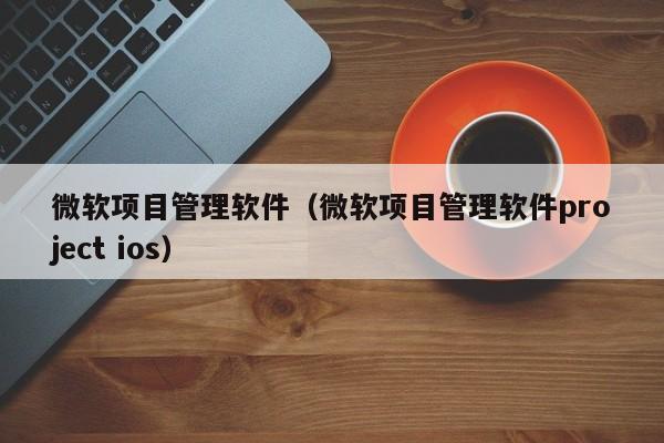 微软项目管理软件（微软项目管理软件project ios）