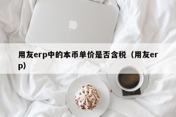 用友erp中的本币单价是否含税（用友erp）