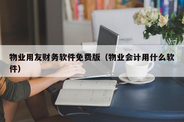 物业用友财务软件免费版（物业会计用什么软件）