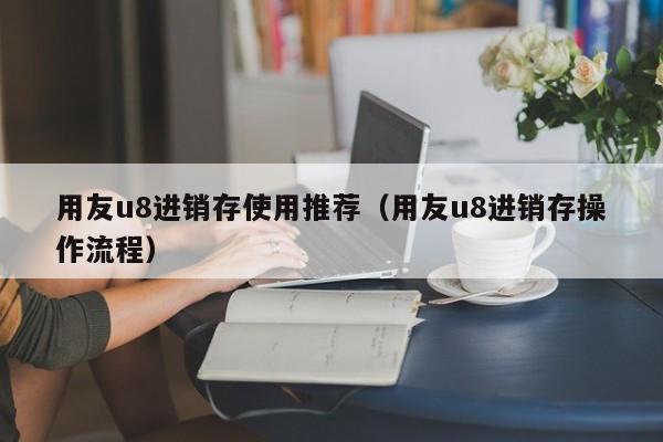 用友u8进销存使用推荐（用友u8进销存操作流程）