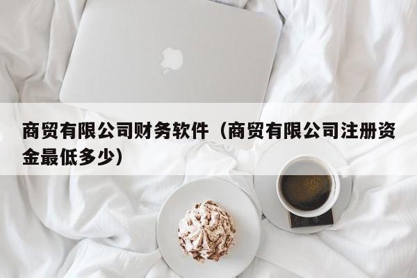 商贸有限公司财务软件（商贸有限公司注册资金最低多少）