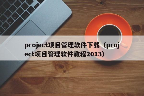 project项目管理软件下载（project项目管理软件教程2013）