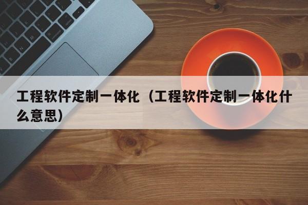 工程软件定制一体化（工程软件定制一体化什么意思）