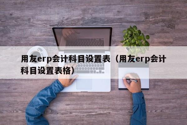 用友erp会计科目设置表（用友erp会计科目设置表格）