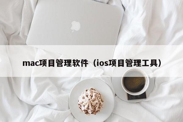 mac项目管理软件（ios项目管理工具）