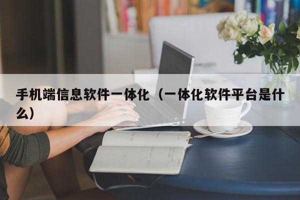 手机端信息软件一体化（一体化软件平台是什么）