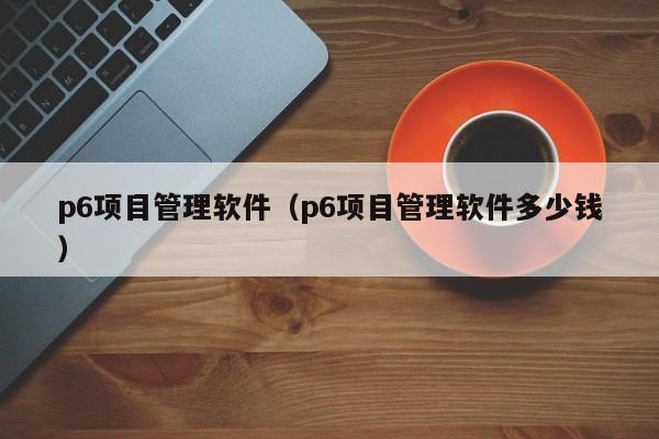 p6项目管理软件（p6项目管理软件多少钱）