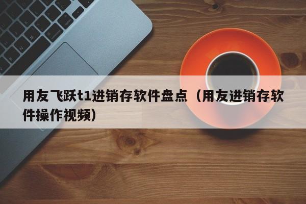 用友飞跃t1进销存软件盘点（用友进销存软件操作视频）