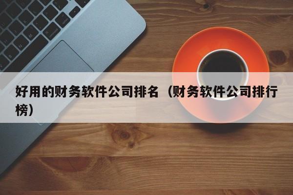 好用的财务软件公司排名（财务软件公司排行榜）