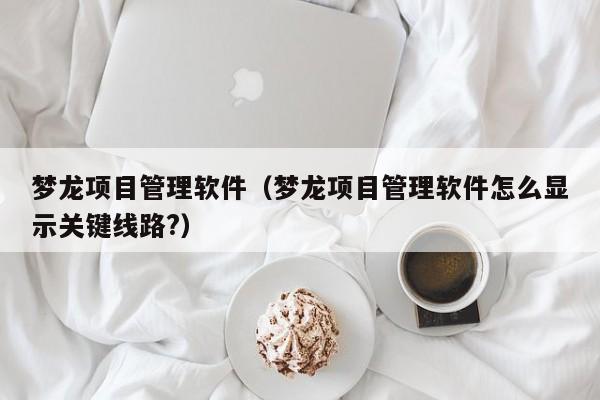 梦龙项目管理软件（梦龙项目管理软件怎么显示关键线路?）