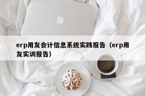 erp用友会计信息系统实践报告（erp用友实训报告）