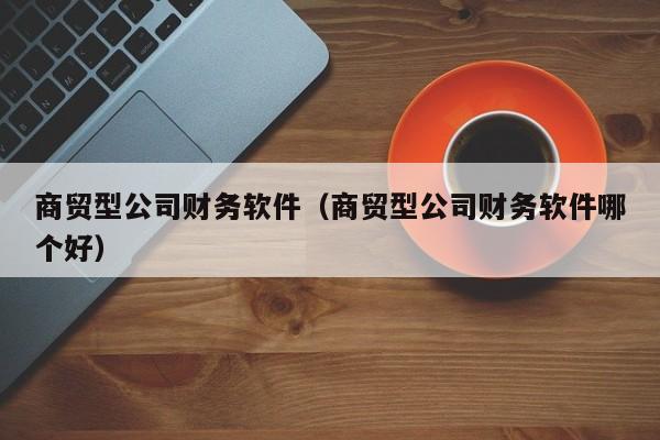 商贸型公司财务软件（商贸型公司财务软件哪个好）