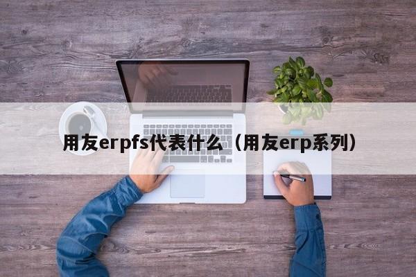 用友erpfs代表什么（用友erp系列）