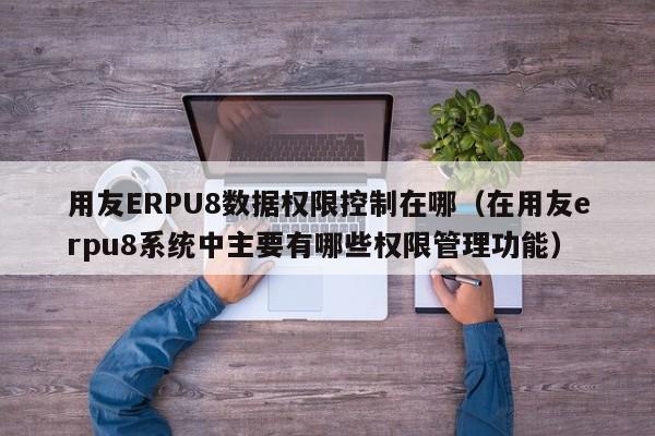 用友ERPU8数据权限控制在哪（在用友erpu8系统中主要有哪些权限管理功能）