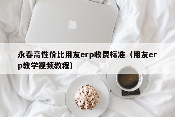 永春高性价比用友erp收费标准（用友erp教学视频教程）