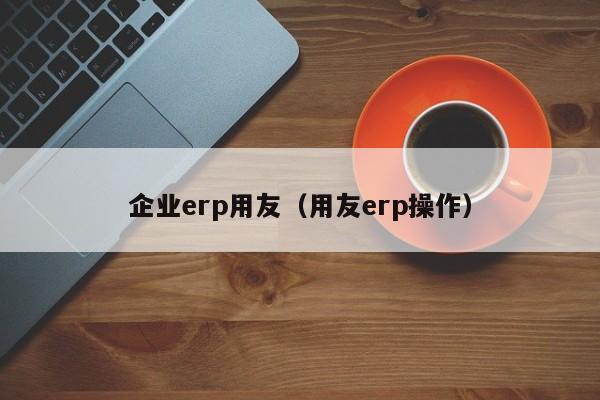 企业erp用友（用友erp操作）