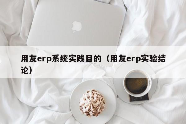 用友erp系统实践目的（用友erp实验结论）