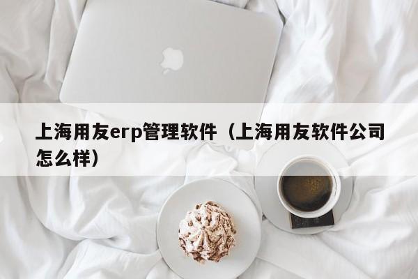 上海用友erp管理软件（上海用友软件公司怎么样）