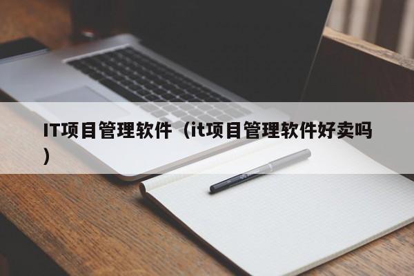 IT项目管理软件（it项目管理软件好卖吗）