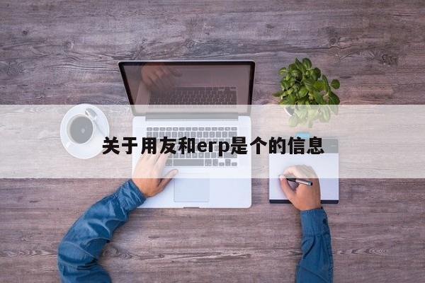 关于用友和erp是个的信息