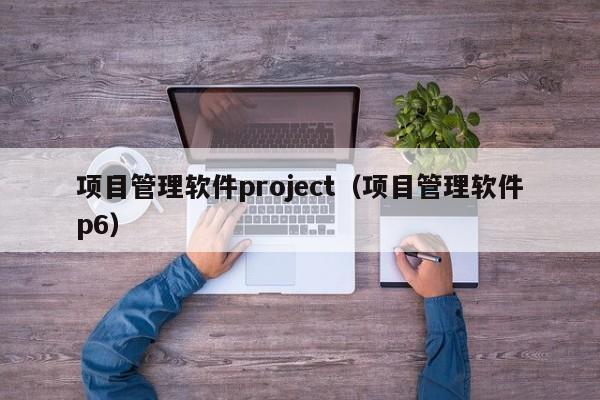 项目管理软件project（项目管理软件p6）