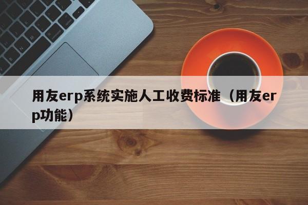 用友erp系统实施人工收费标准（用友erp功能）