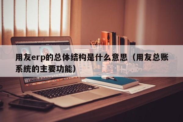 用友erp的总体结构是什么意思（用友总账系统的主要功能）