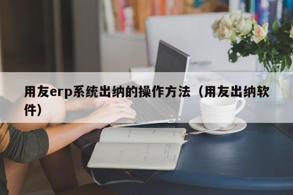 用友erp系统出纳的操作方法（用友出纳软件）