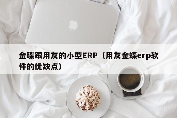 金碟跟用友的小型ERP（用友金蝶erp软件的优缺点）