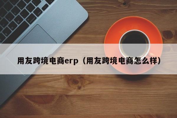 用友跨境电商erp（用友跨境电商怎么样）