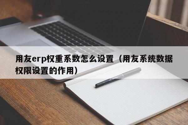 用友erp权重系数怎么设置（用友系统数据权限设置的作用）