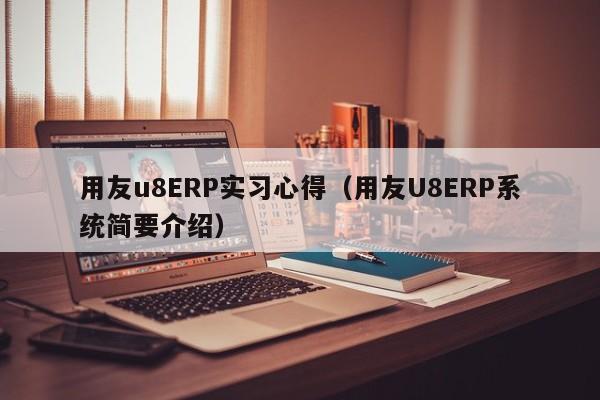 用友u8ERP实习心得（用友U8ERP系统简要介绍）