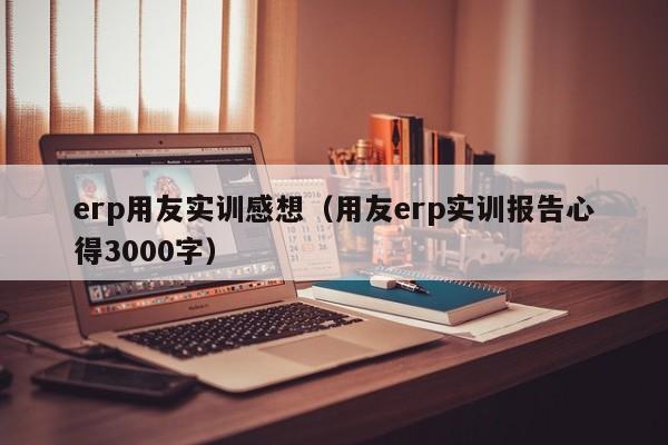 erp用友实训感想（用友erp实训报告心得3000字）