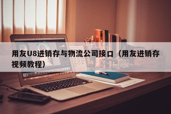 用友U8进销存与物流公司接口（用友进销存视频教程）