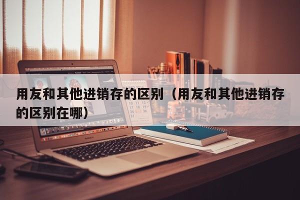 用友和其他进销存的区别（用友和其他进销存的区别在哪）