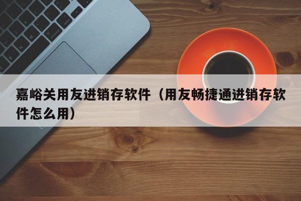 嘉峪关用友进销存软件（用友畅捷通进销存软件怎么用）