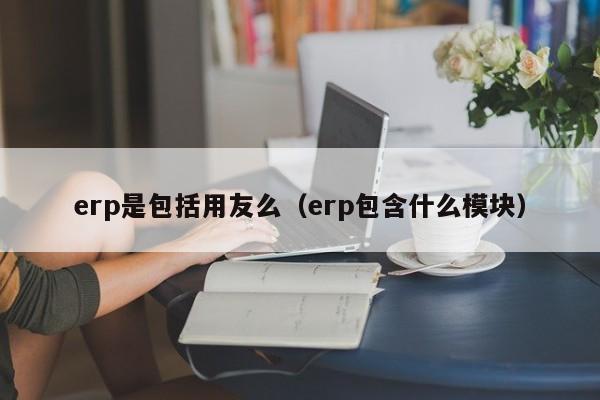 erp是包括用友么（erp包含什么模块）