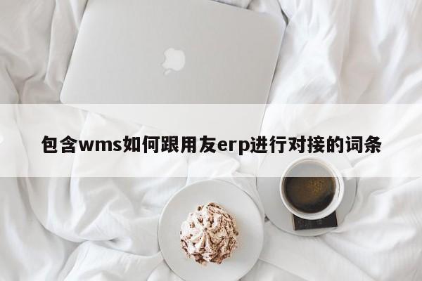 包含wms如何跟用友erp进行对接的词条