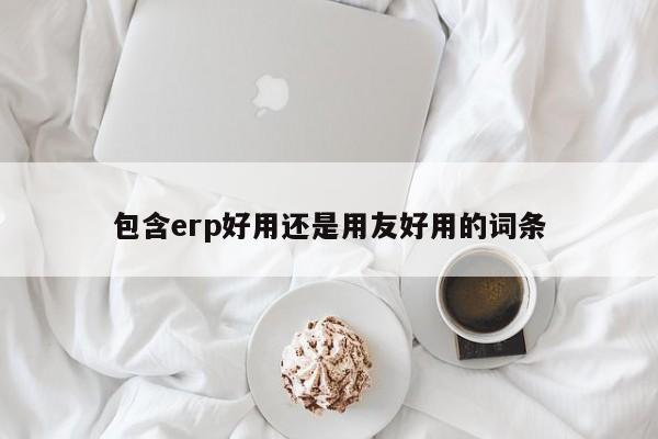 包含erp好用还是用友好用的词条