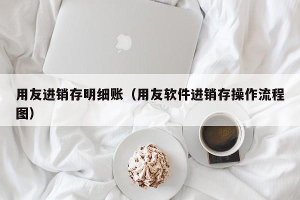 用友进销存明细账（用友软件进销存操作流程图）