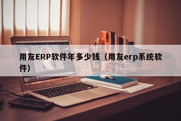 用友ERP软件年多少钱（用友erp系统软件）