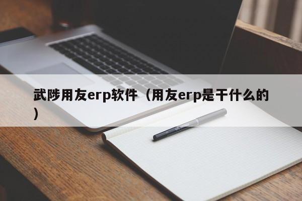 武陟用友erp软件（用友erp是干什么的）