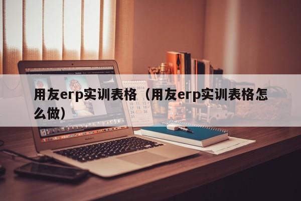 用友erp实训表格（用友erp实训表格怎么做）